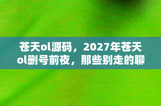 苍天ol源码，2027年苍天ol删号前夜，那些别走的聊天记录，让我鼻子一酸