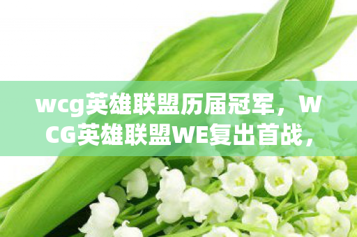 wcg英雄联盟历届冠军，WCG英雄联盟WE复出首战，0.3%胜率逆袭成87%流量暴涨，老IP如何撬动千亿电竞新蓝海？