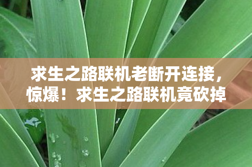 求生之路联机老断开连接，惊爆！求生之路联机竟砍掉500万玩法？隐情曝光让人吓一跳！