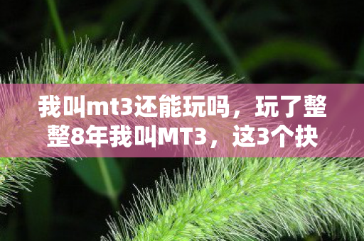 我叫mt3还能玩吗,玩了整整8年我叫MT3,这3个抉择让我至今难以释怀! 我叫mt3还能玩吗,玩了整整8年我叫MT3,这3个抉择让我至今难以释怀!