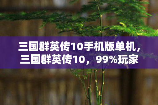 三国群英传10手机版单机，三国群英传10，99%玩家卡在赤壁火海第7天，我却在第108次死亡后听见历史在哭