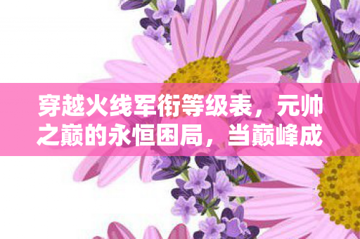穿越火线军衔等级表，元帅之巅的永恒困局，当巅峰成为枷锁，我听见灵魂在枪声中震颤