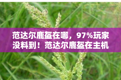 范达尔鹿盔在哪,97%玩家没料到!范达尔鹿盔在主机/PC/手游的操控差距竟差出3个次元 范达尔鹿盔在哪,97%玩家没料到!范达尔鹿盔在主机/PC/手游的操控差距竟差出3个次元