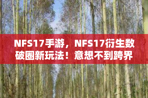 NFS17手游，NFS17衍生数破圈新玩法！意想不到跨界，从游戏到生活全面入侵