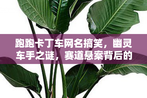 跑跑卡丁车网名搞笑,幽灵车手之谜,赛道悬案背后的毛骨悚然真相 跑跑卡丁车网名搞笑,幽灵车手之谜,赛道悬案背后的毛骨悚然真相